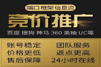 SEM代理操作技巧：成功案例揭秘